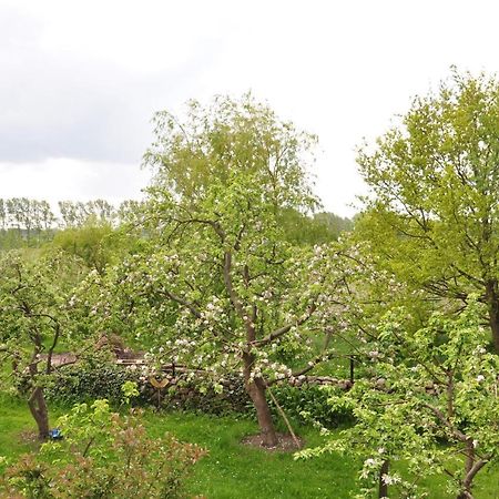 Sommerferienhaus Nienhagen Zewnętrze zdjęcie