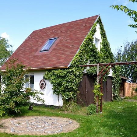 Sommerferienhaus Nienhagen Zewnętrze zdjęcie