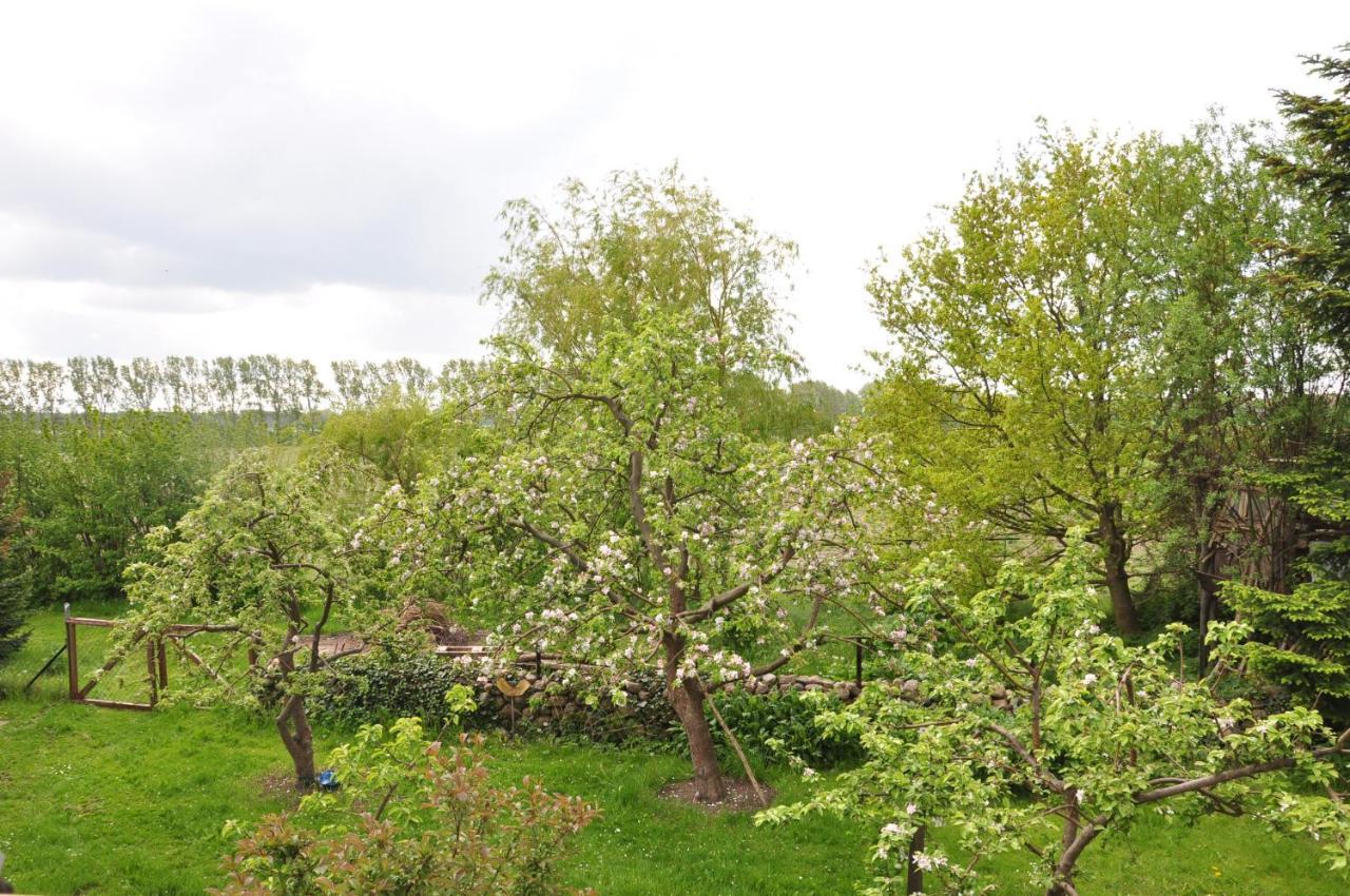 Sommerferienhaus Nienhagen Zewnętrze zdjęcie