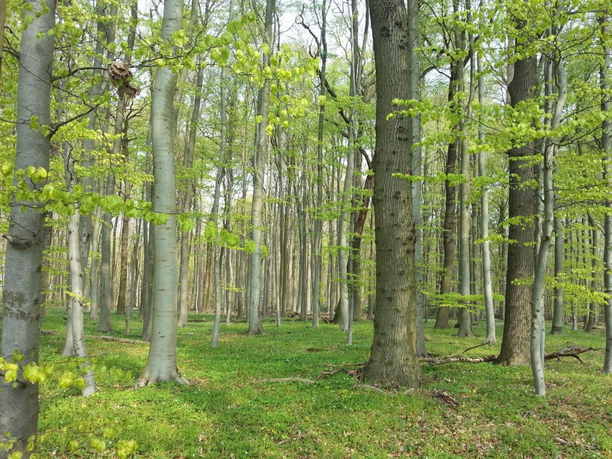 Sommerferienhaus Nienhagen Zewnętrze zdjęcie